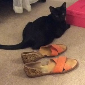 DOLCE VITA coral pink leopard slip on flats 8.5